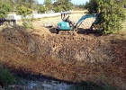 Clearing the weeds from the pool